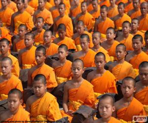 yapboz Genç Budist rahipler